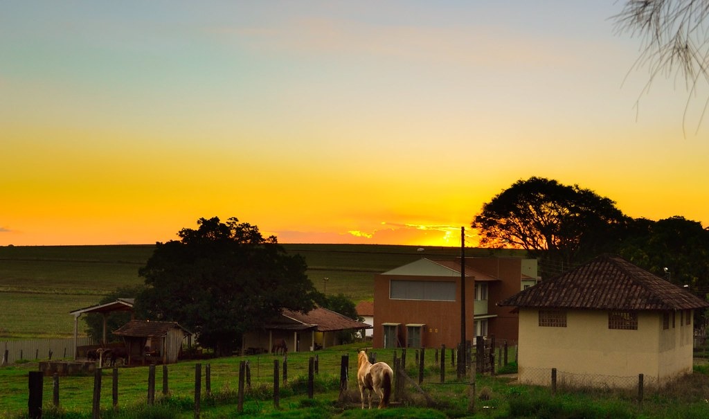 Leia mais sobre o artigo HUTEC e FAZENDA-ESCOLA DA UEL SE UNEM PARA FOMENTO DA PESQUISA NO AGRO